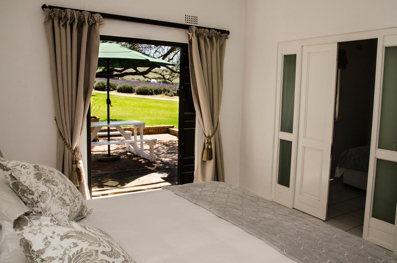 Lavinia Lifestyle Villa Stellenbosch Exterior photo