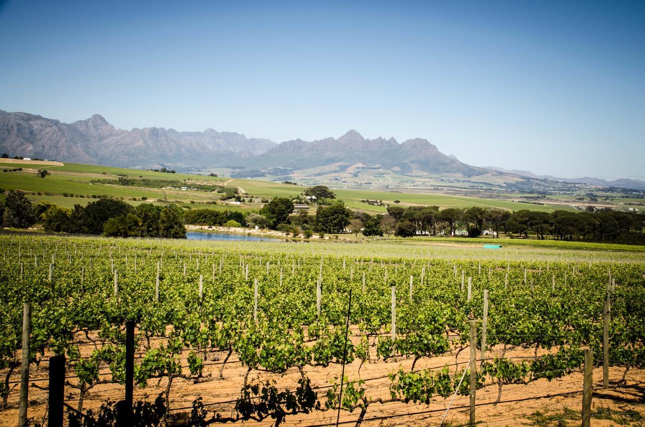 Lavinia Lifestyle Villa Stellenbosch Exterior photo
