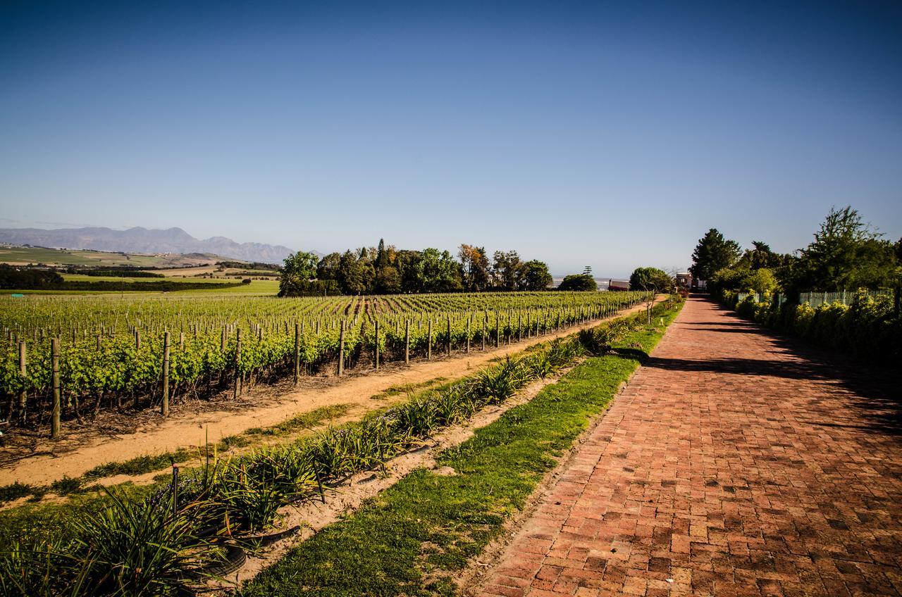 Lavinia Lifestyle Villa Stellenbosch Exterior photo